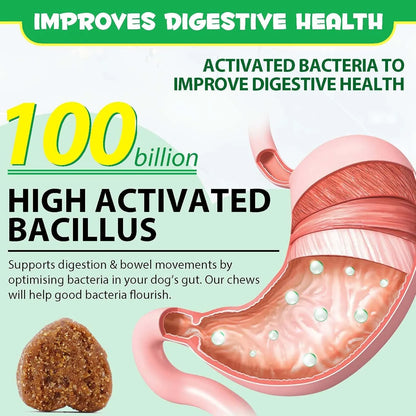 Golosinas Masticables Probióticas Para Perros 120 Unidades Salud Digestiva
