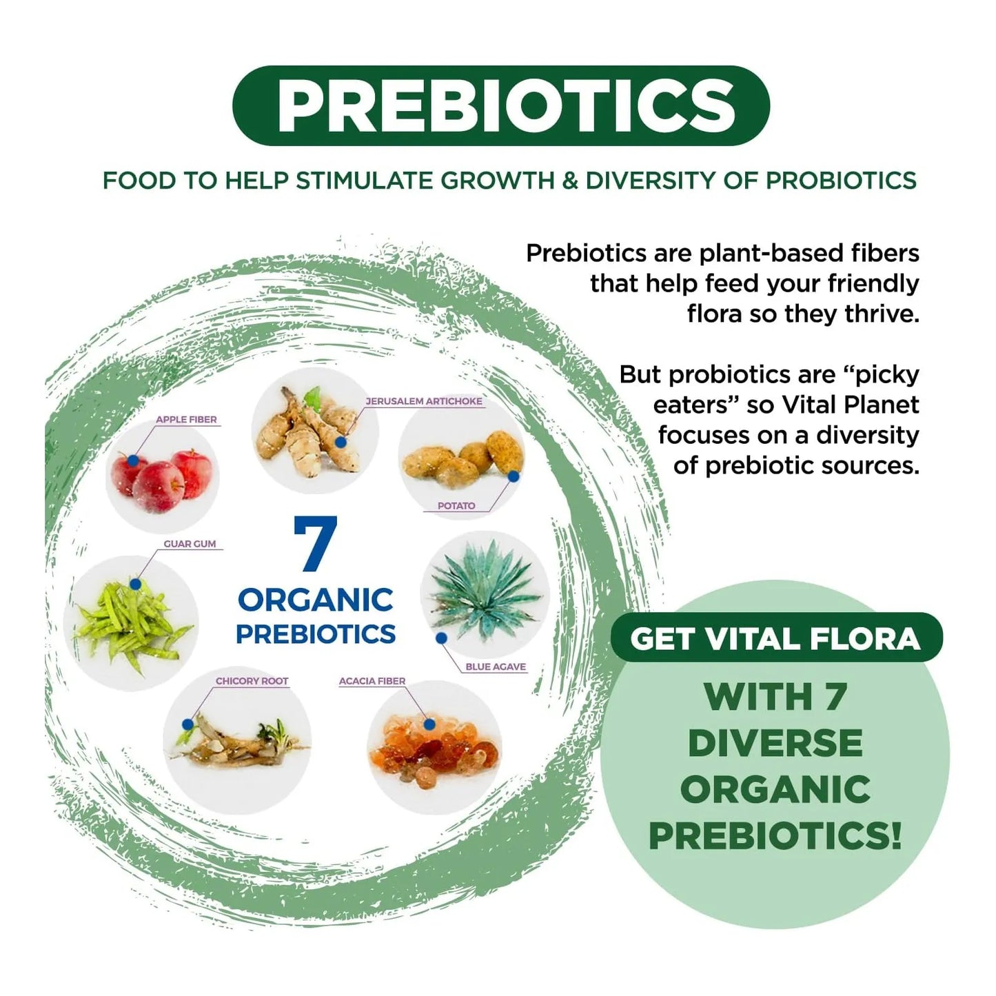 Probiótico Diario 60 Mil Millones UFC Para Adultos Mayores Vital Flora