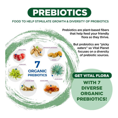 Probiótico Diario 60 Mil Millones UFC Para Adultos Mayores Vital Flora