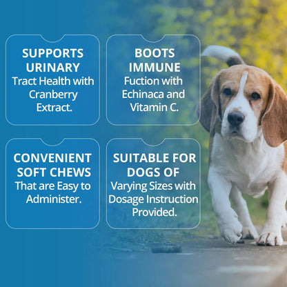 Masticables Para Perros Con Extracto De Arándano Tratamiento Infecciones Urinarias