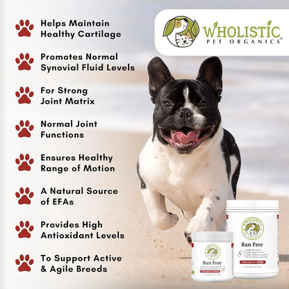 Suplemento Articulaciones Saludables Para Perros Mayores Con Glucosamina Condroitina MSM Alivia Dolor Y Rigidez