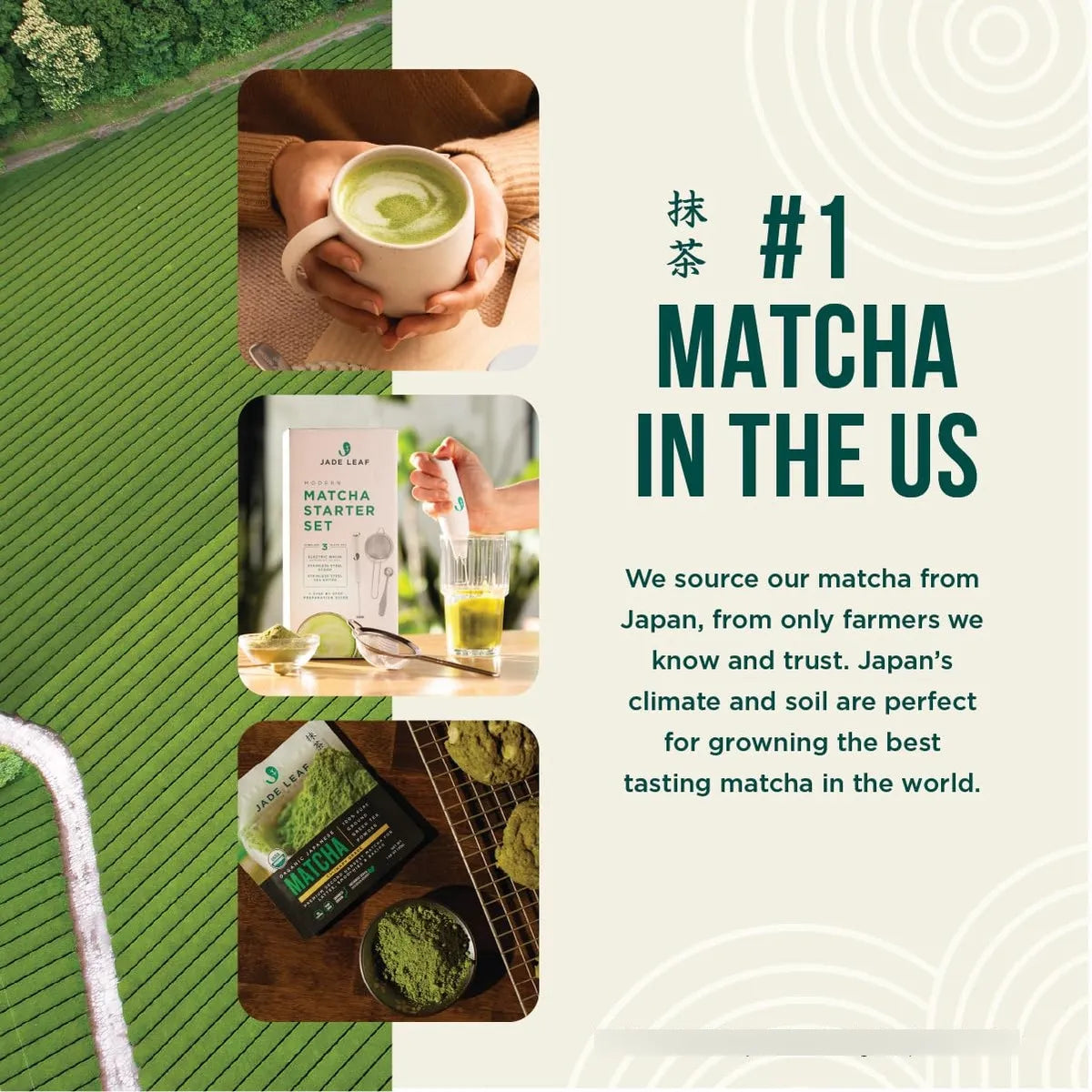 Matcha Hojicha Orgánico En Polvo Tostado Edición Barista Japón
