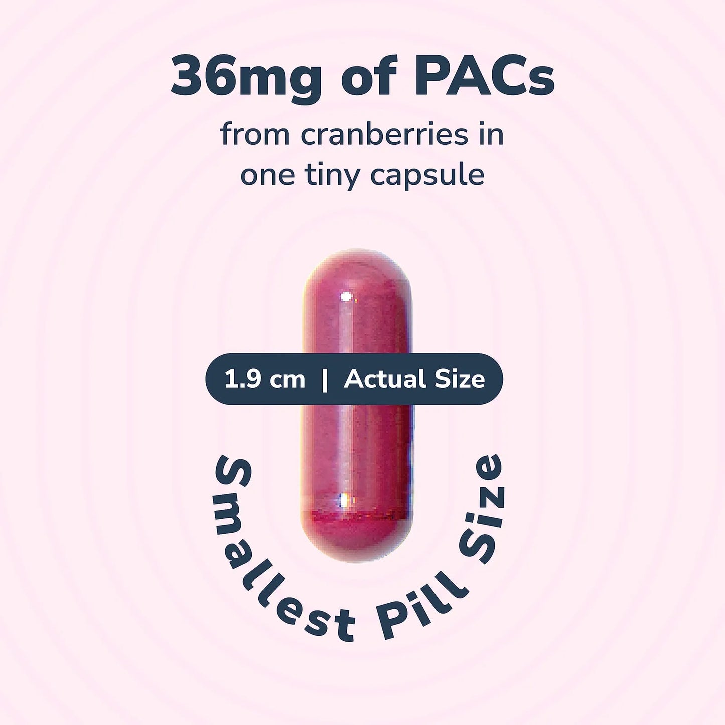 Utiva Cranberry PACs 36 Mg Suplemento Salud Urinaria Preventivo Infecciones