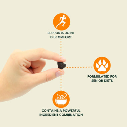 Bozal Gris Para Perros Mayores Con Glucosamina 90 Masticables Cuidado Articulaciones