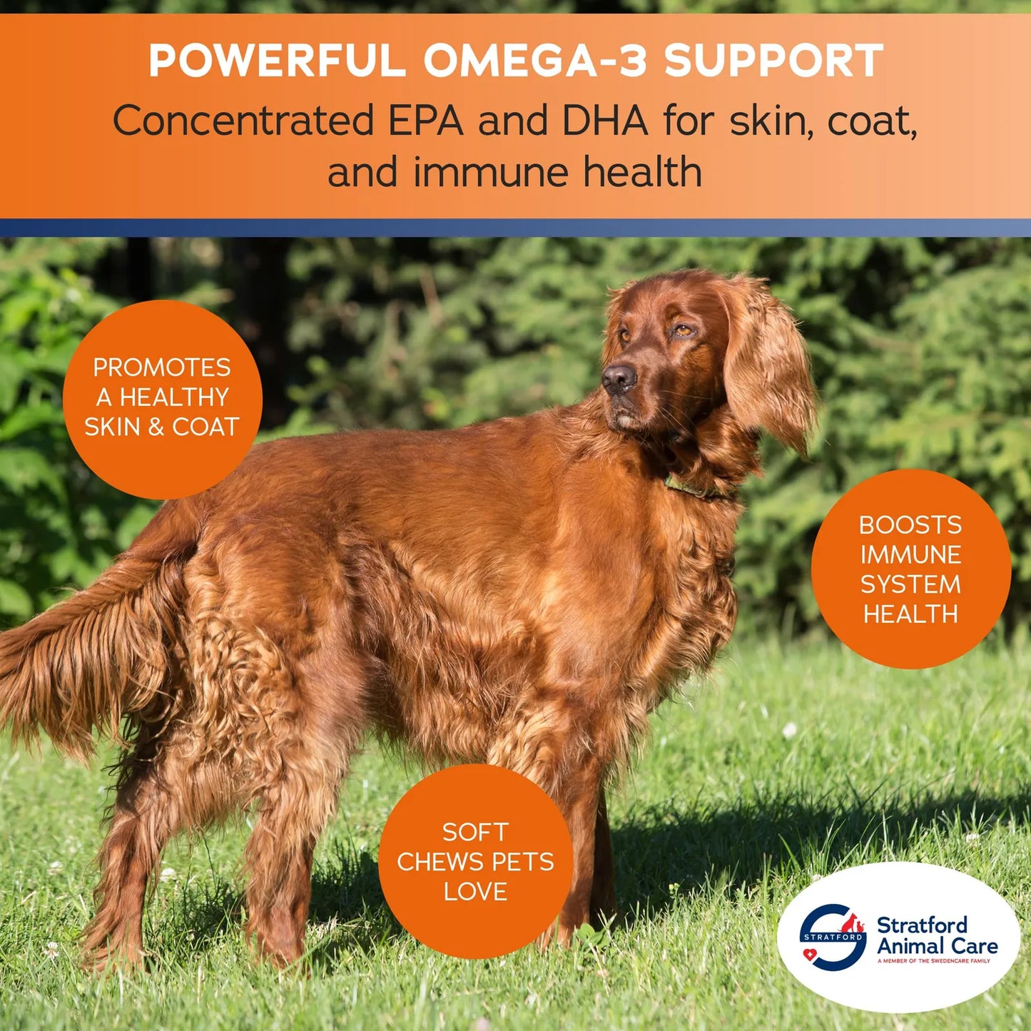 Masticables Suaves Omega 3 Aceite De Pescado Alta Potencia Para Perros