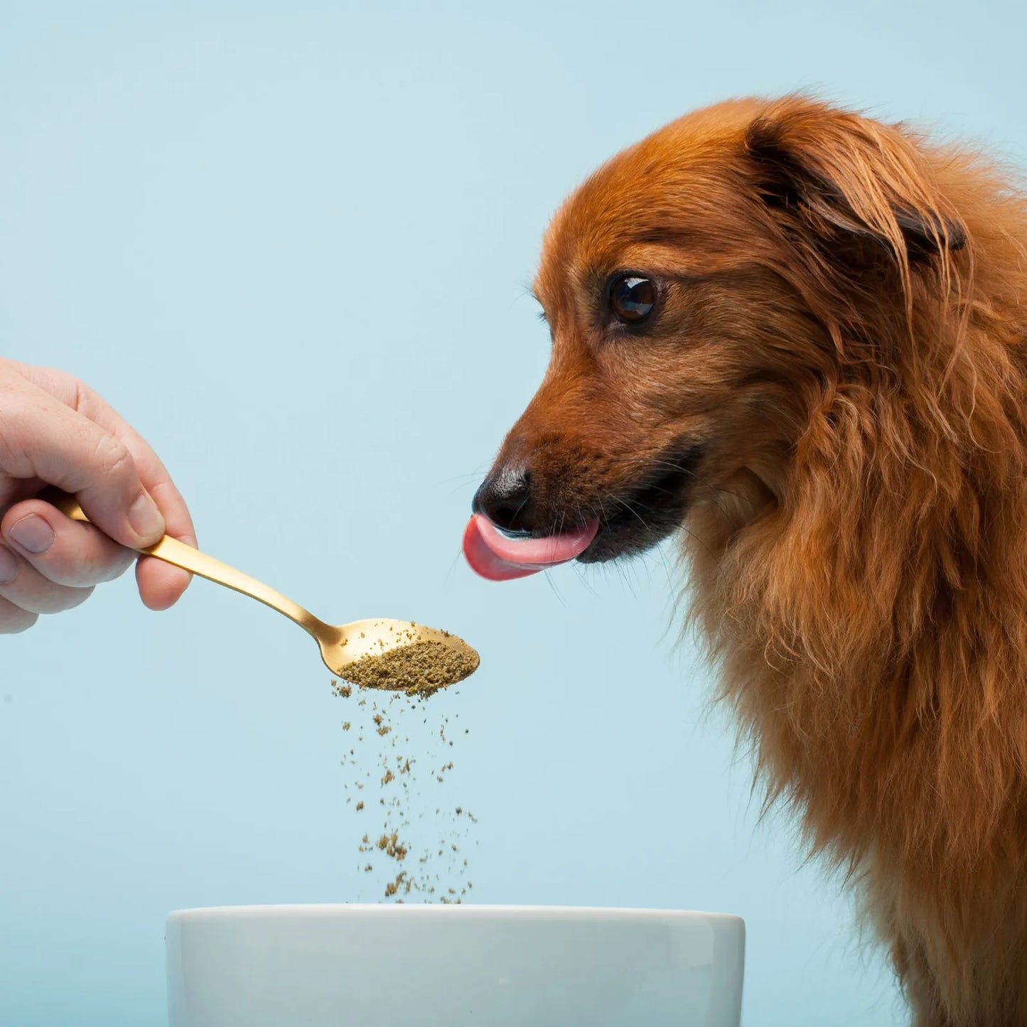 Fórmula De Algas Marinas Nutritiva Para Perros Salud Y Energía