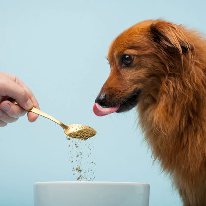 Fórmula De Algas Marinas Nutritiva Para Perros Salud Y Energía