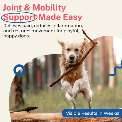 Suplemento Petz Para Articulaciones De Perros Adultos Con Glucosamina Y Condroitina