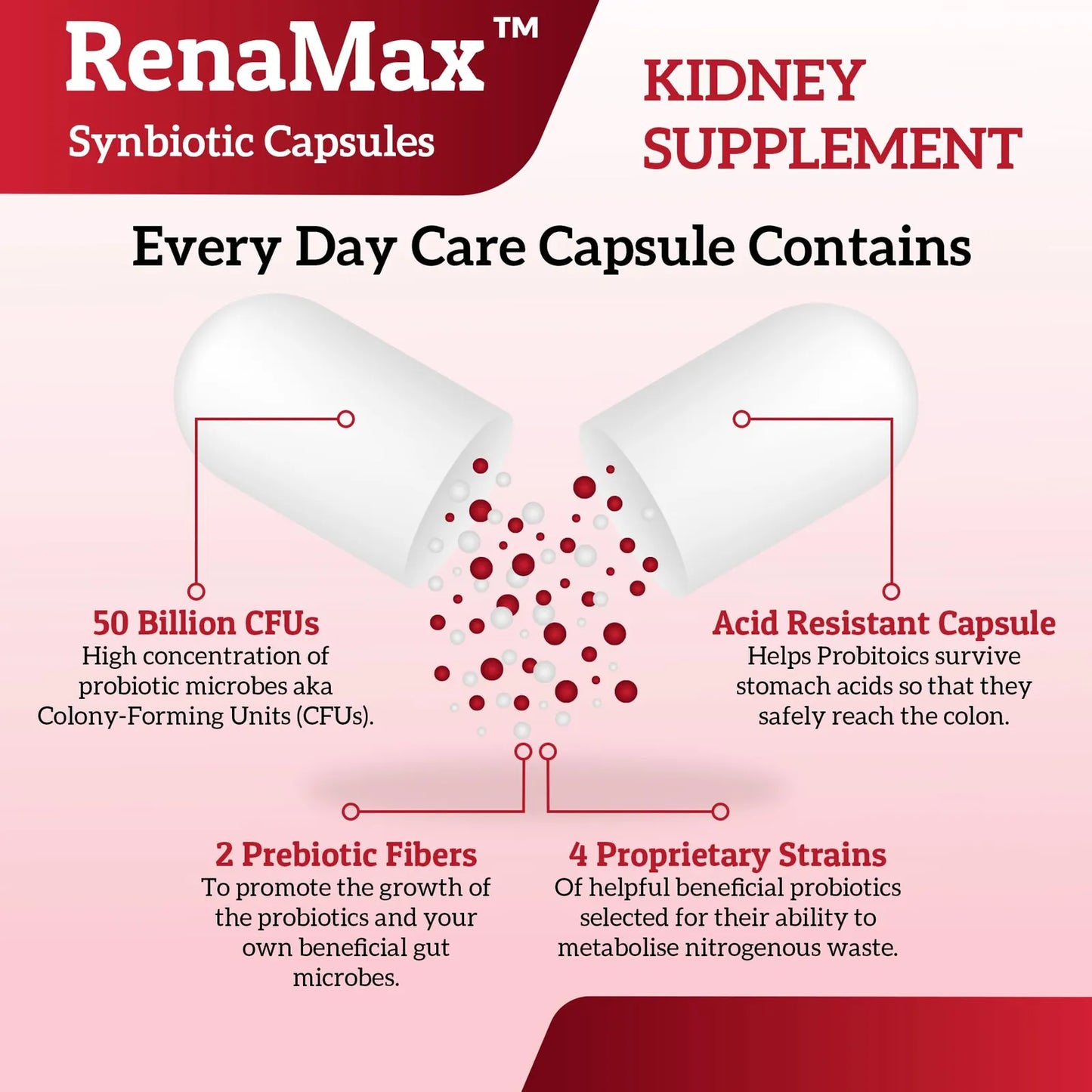 Capsulas RenaMax Cuidado Renal 50 Mil Millones Ufc Probióticos Prebióticos Usa
