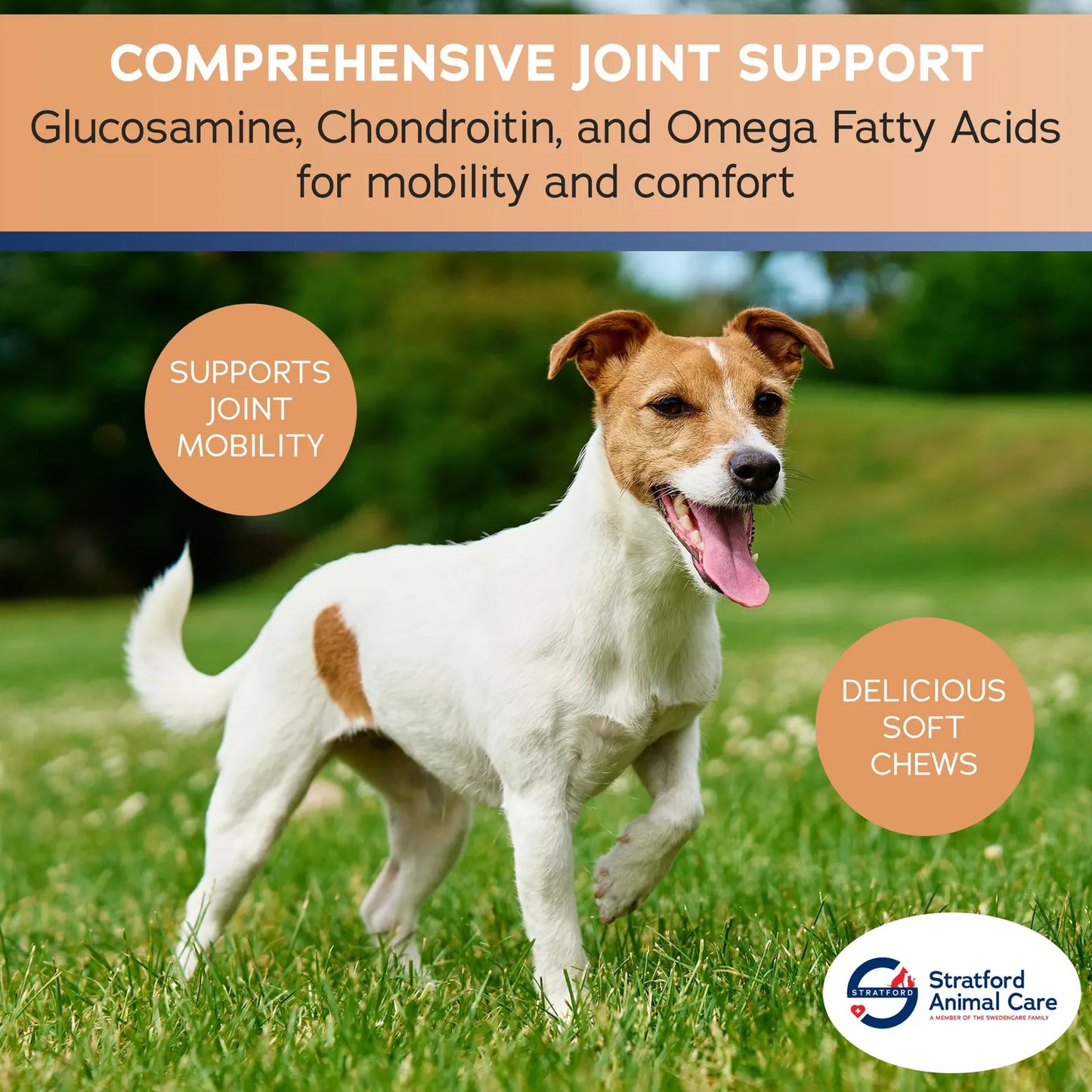Masticables Suaves Para Perros Pequeños Con Glucosamina Condroitina MSM Alivio Articular 60 Unidades