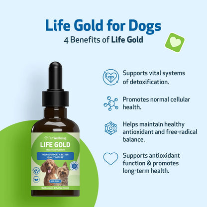 Suplemento Life Gold Para Perros Y Gatos Apoyo Natural Contra Cáncer 2 Onzas