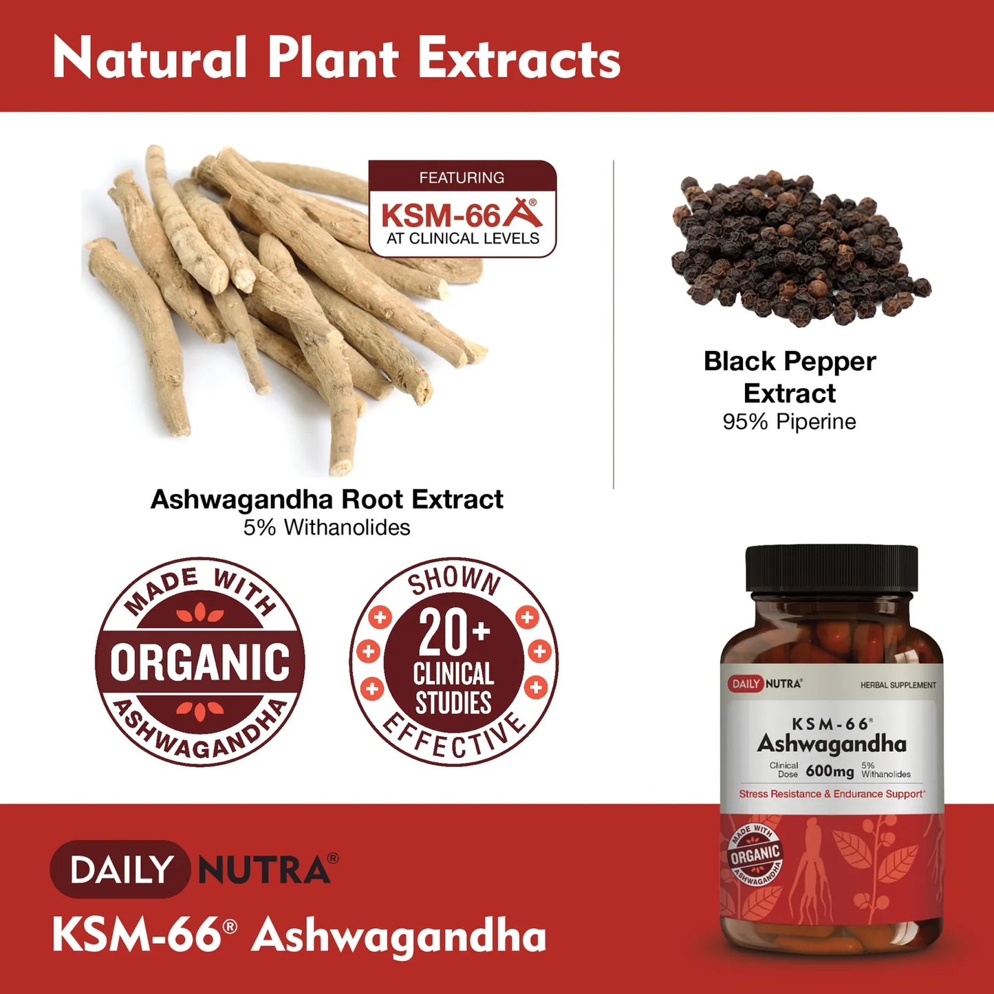 KSM66 Ashwagandha Extracto De Raíz Orgánica 600 Mg 5 Withanolides Alivio Del Estrés Y Energía