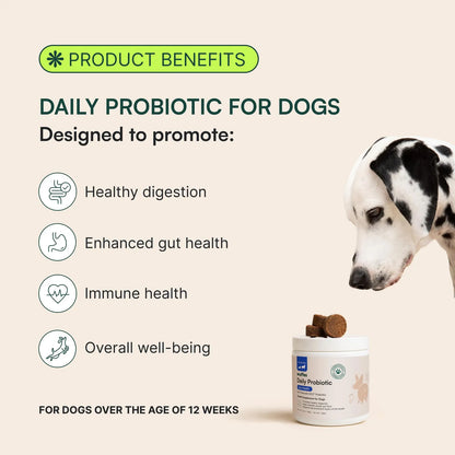 Masticables Probióticos Para Perros 60 Piezas Apoyo Digestivo E Inmunológico
