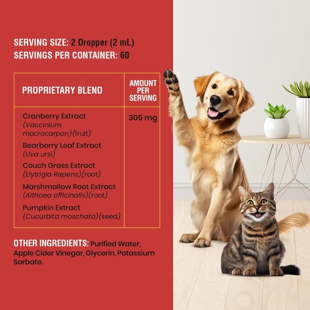 Tratamiento Infecciones Urinarias Gatos Perros Arándano Special Breed 4 Onzas