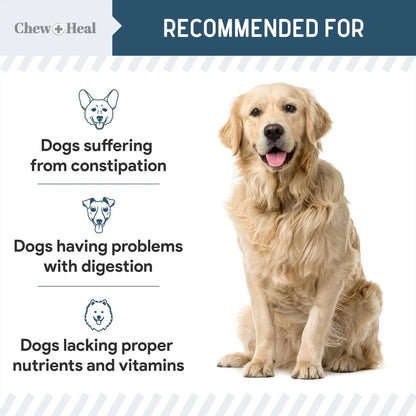 Enzimas Digestivas Con Probióticos Para Perros 120 Masticables Suaves Salud Intestinal