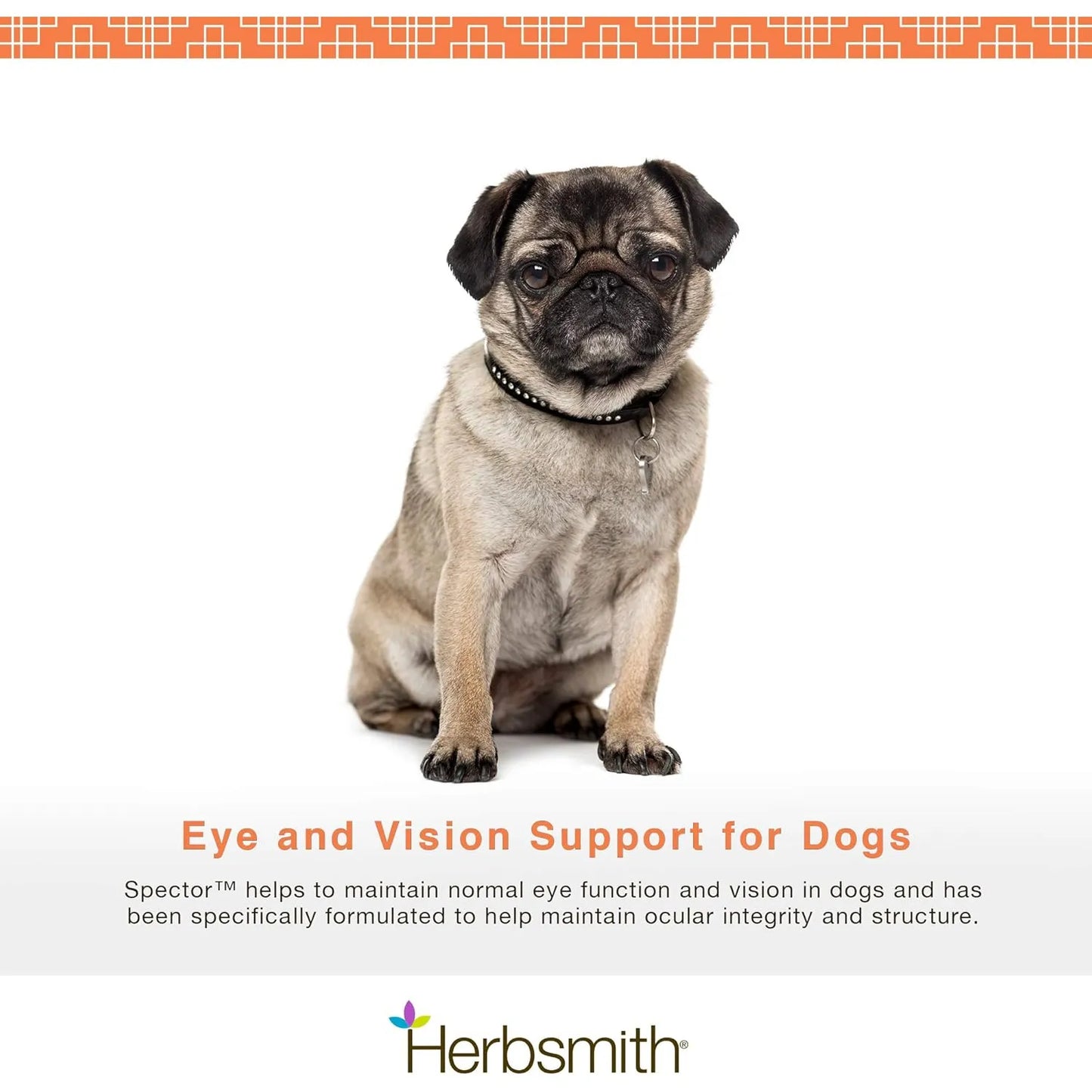 Soporte Ocular Visual Para Perros Antioxidante Masticables Mejora La Visión