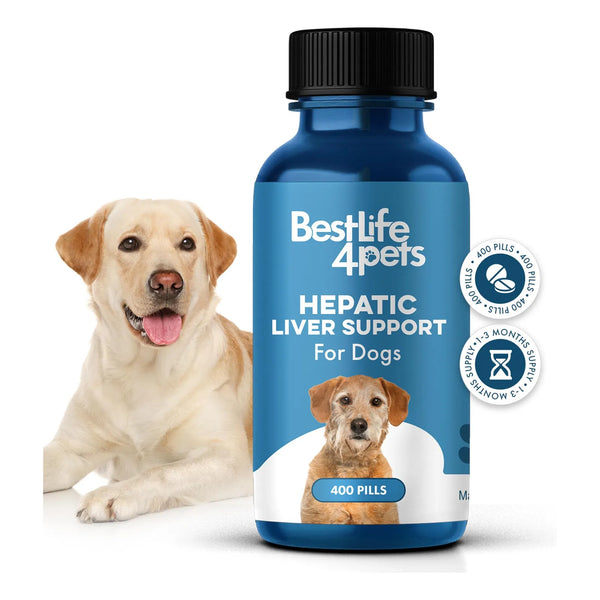 Soporte Hepático Natural Para Perros Digestivo Homeopático 100 Natural 450 Pastillas