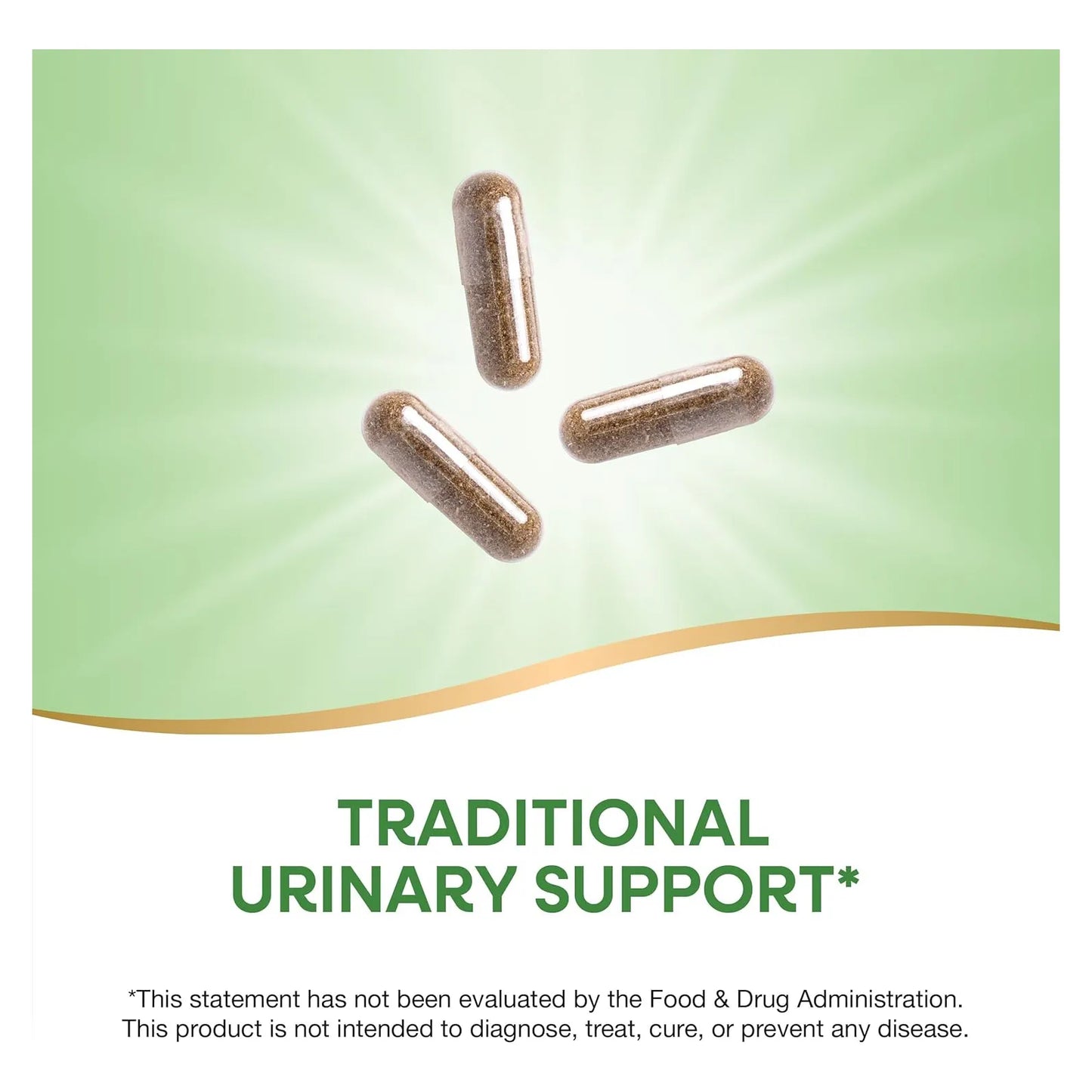 Uva Ursi 1110 Mg Soporte Urinario Tradicional 100 Capsulas Veganas NatureS Way