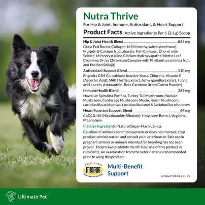Nutra Thrive Canine Suplemento Nutricional 40 En 1 Para Perros Con Vitaminas Y Probióticos