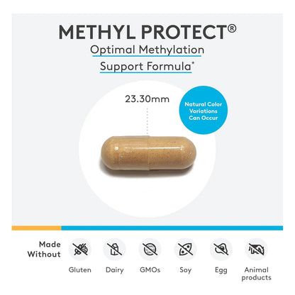 Suplemento Methyl Protect Con Folato Metilico Y Vitamina B12 Para Metilacion Optima Y Salud Cardiovascular