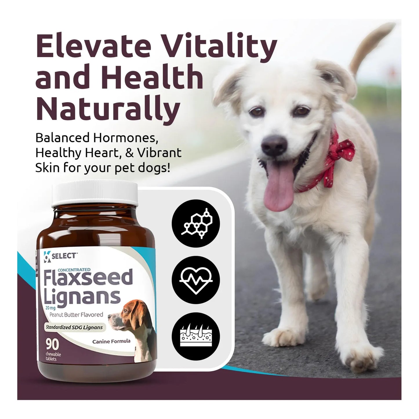 Lignanos Concentrados De Linaza Para Perros 20 Mg 90 Tabletas Sabor Mantequilla De Maní