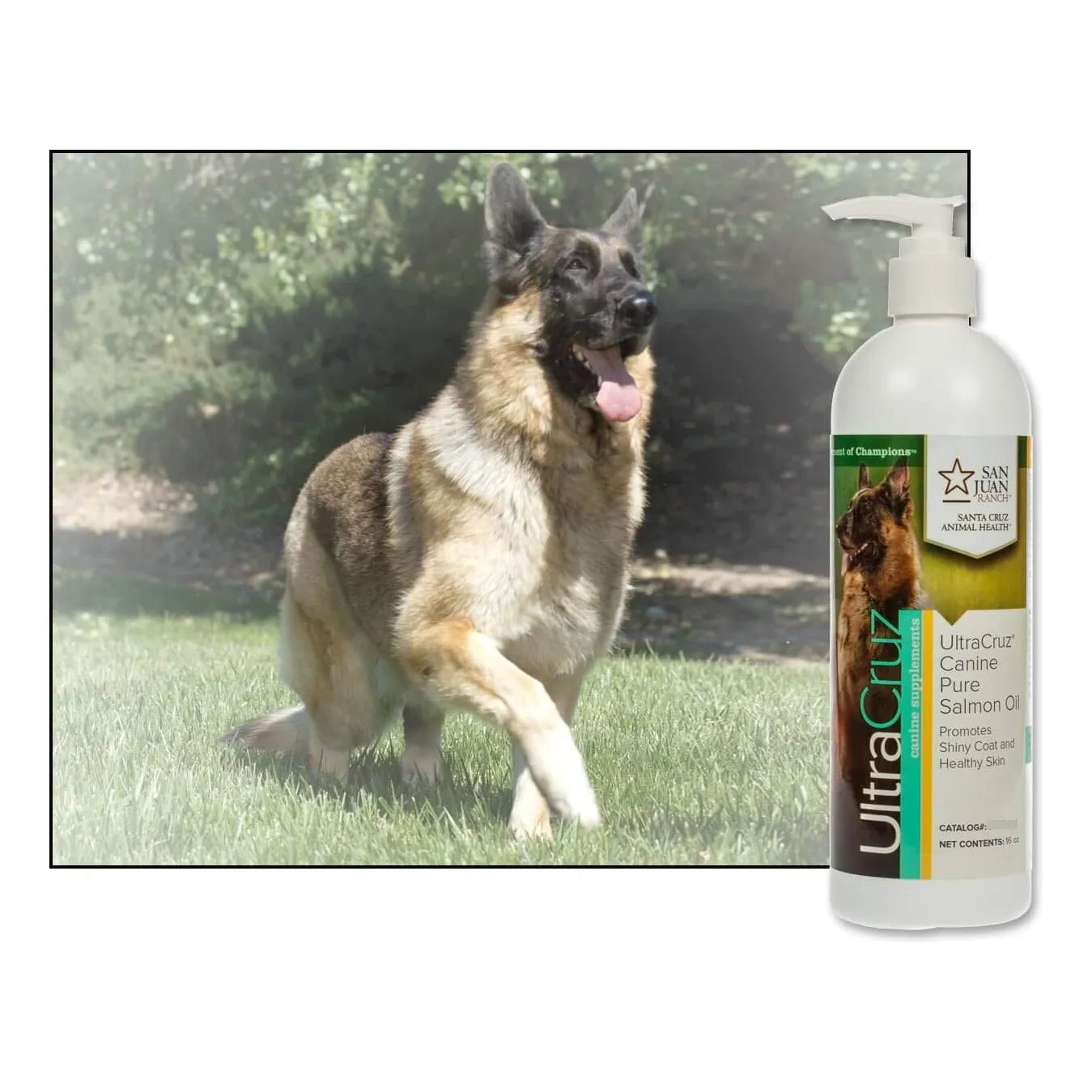 Aceite De Salmon Puro Para Perros 473 Ml Suplemento Omega3 Pelaje Brillante