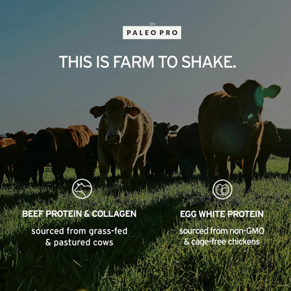 Proteína En Polvo Paleo De Vainilla Alimentada Con Pasto Sin Gluten Ni Lácteos
