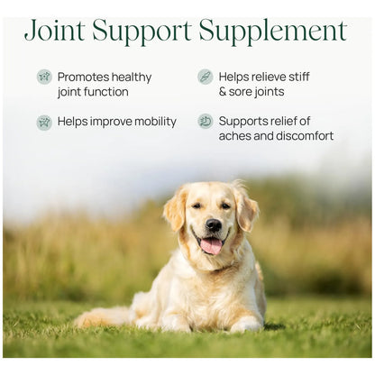 Suplemento Articular Para Perros Con Glucosamina Condroitina MSM Mejillones Y Cúrcuma Importado EE UU