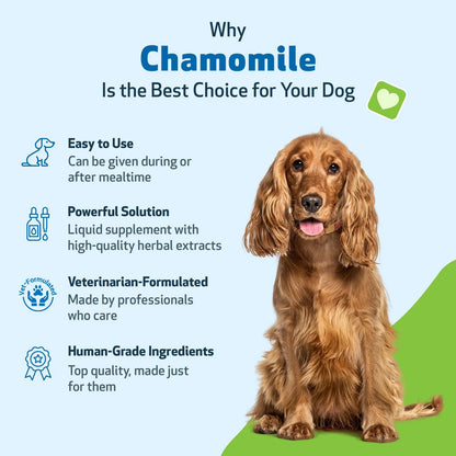Manzanilla Para Perros Orgánica Digestión Saludable Tranquilidad Suplemento Veterinario