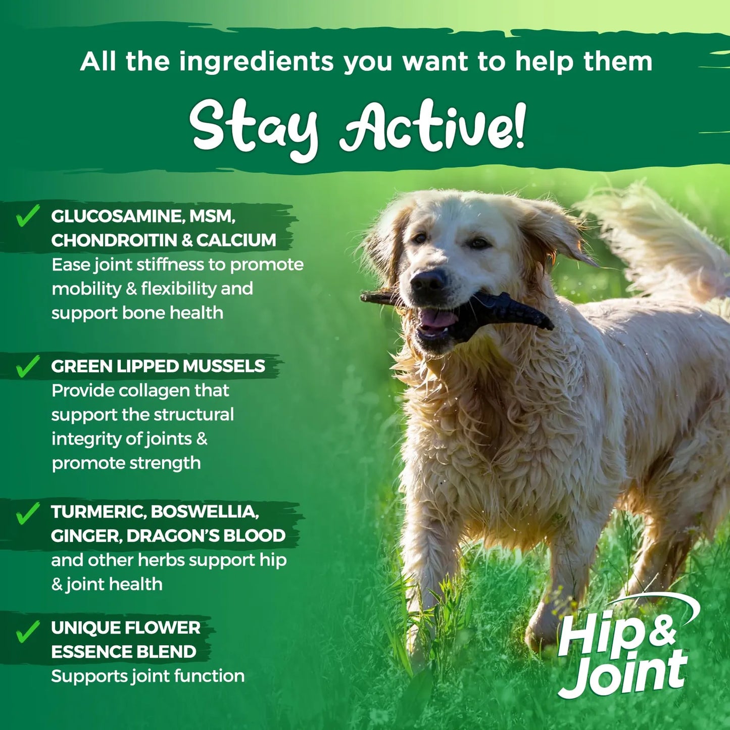 Suplemento Natural Para Cadera Y Articulaciones De Perros Con Glucosamina Y MSM 120 Tabletas