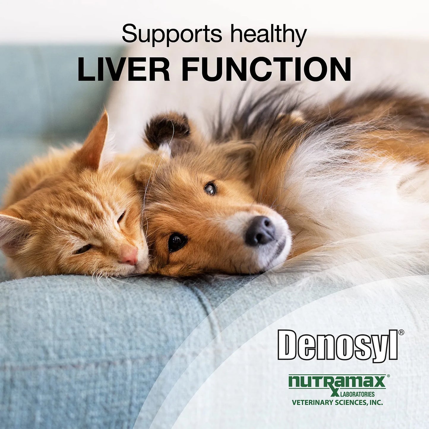 Denosyl Para Perros Pequeños Y Gatos Apoyo Hepático Y Cognitivo 30 Tabletas