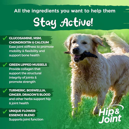 Suplemento En Polvo Apoyo Cadera Articulaciones Perros Glucosamina Curcuma Vital Planet