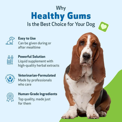 Suplemento Dental Para Perros Encías Saludables Aliento Fresco Pet Wellbeing