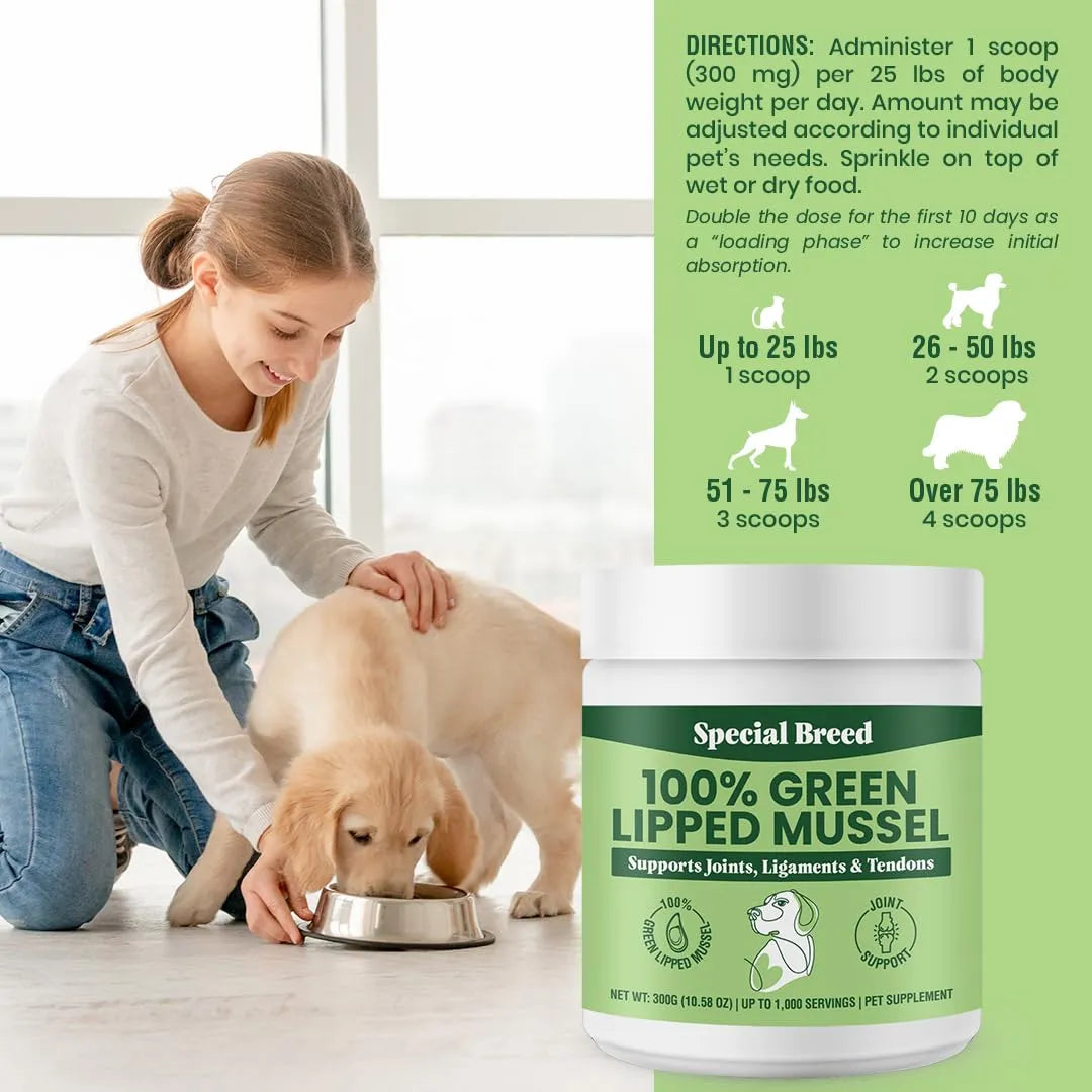 Polvo De Mejillones Labios Verdes Para Articulaciones De Perros Y Gatos 300g Importado