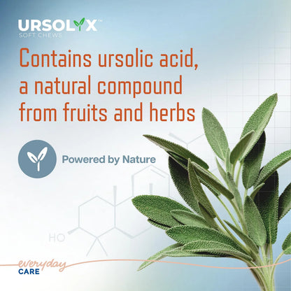 URSOLYX Masticables Suaves Para Perros Apoyo Salud Muscular 60 Unidades