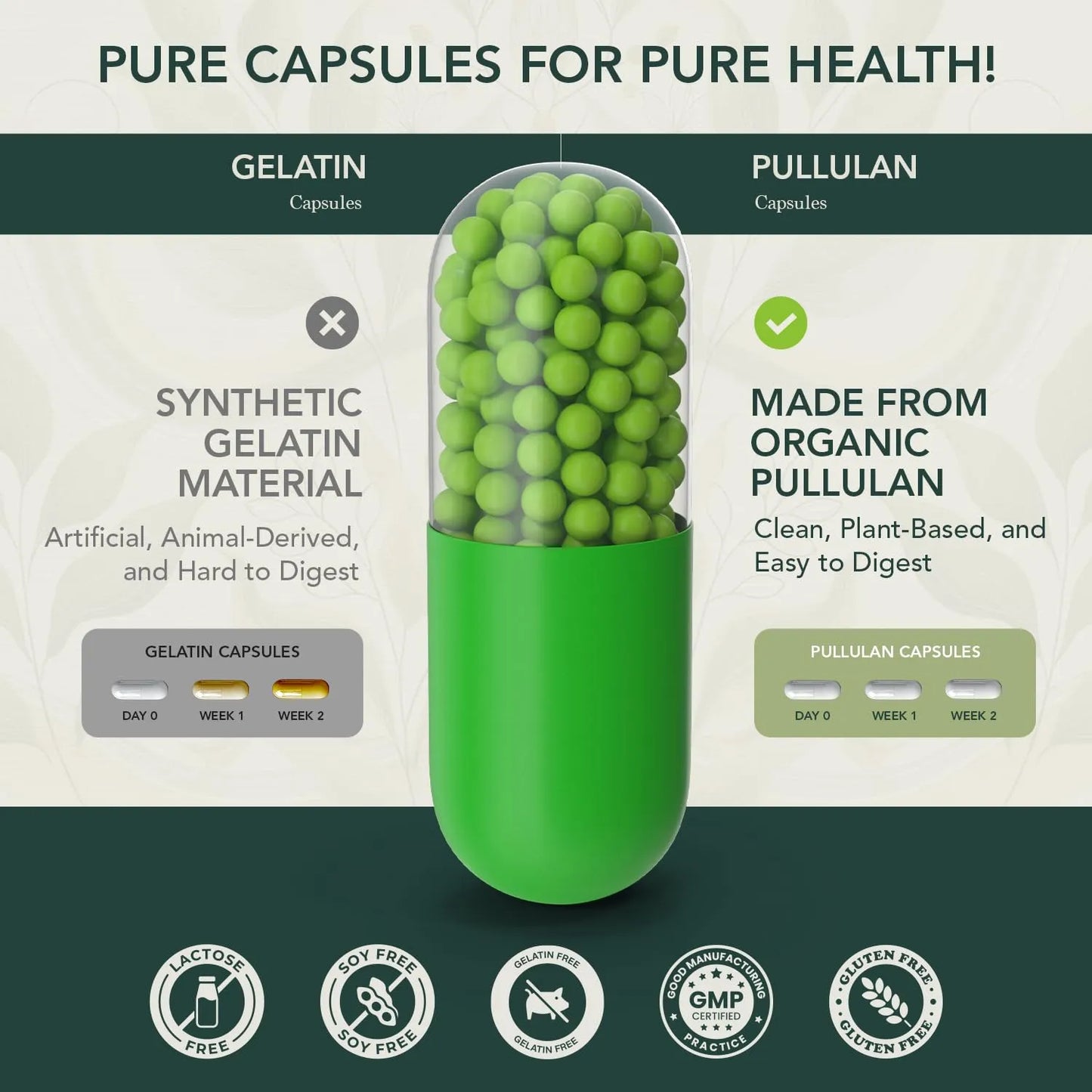 Multivitaminico Completo Diario Adultos Energia Natural Inmunidad 40+