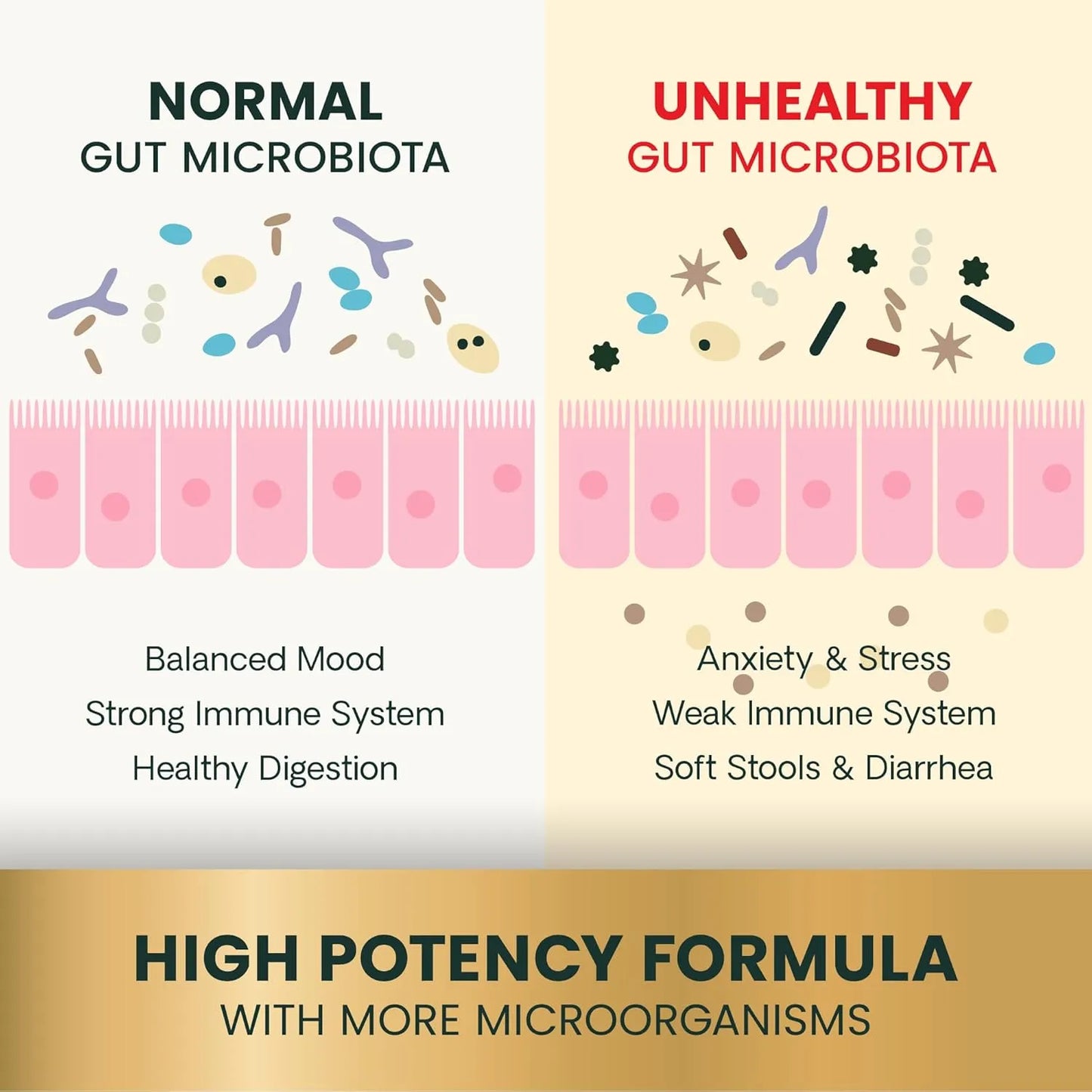 Mega Probiotic Para Perros Y Gatos 120 Capsulas VetriScience Laboratories Suplemento Digestivo
