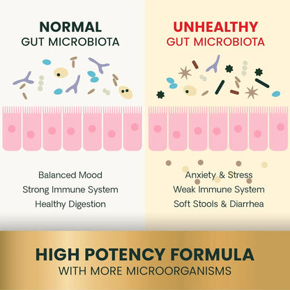 Mega Probiotic Para Perros Y Gatos 120 Capsulas VetriScience Laboratories Suplemento Digestivo
