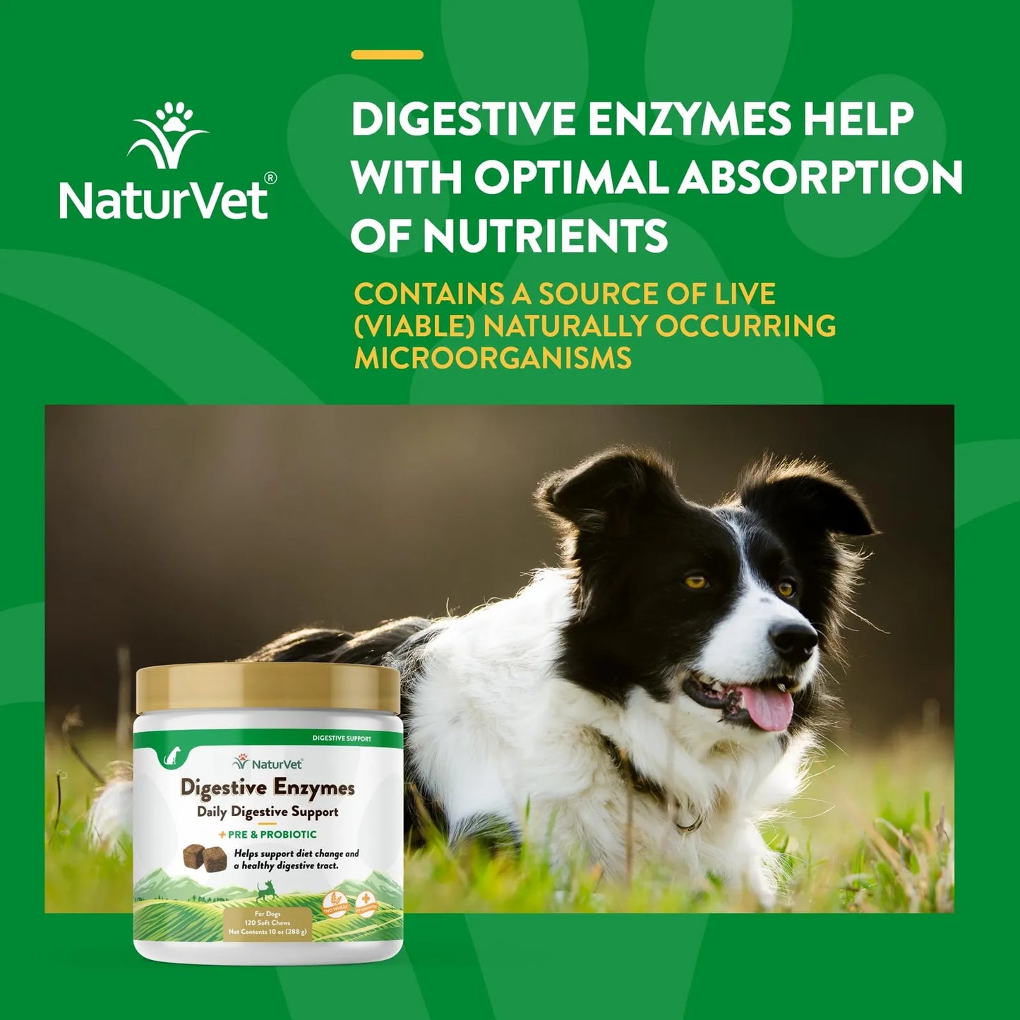 Probiótico Masticable Con Enzimas Digestivas Para Perros 90 Soft Chews Salud Digestiva