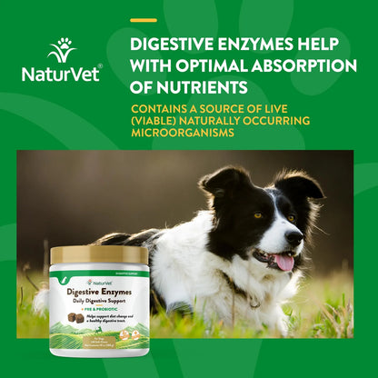 Probiótico Masticable Con Enzimas Digestivas Para Perros 90 Soft Chews Salud Digestiva