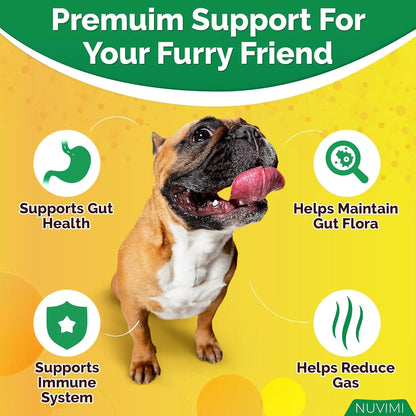 Tabletas Probióticas Y Prebióticas Para Perros Sabor Pollo Salud Intestinal