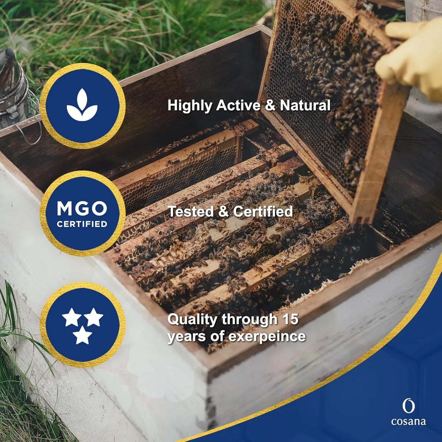 Miel De Manuka 550 MGO 250g Pura Certificada Nueva Zelanda