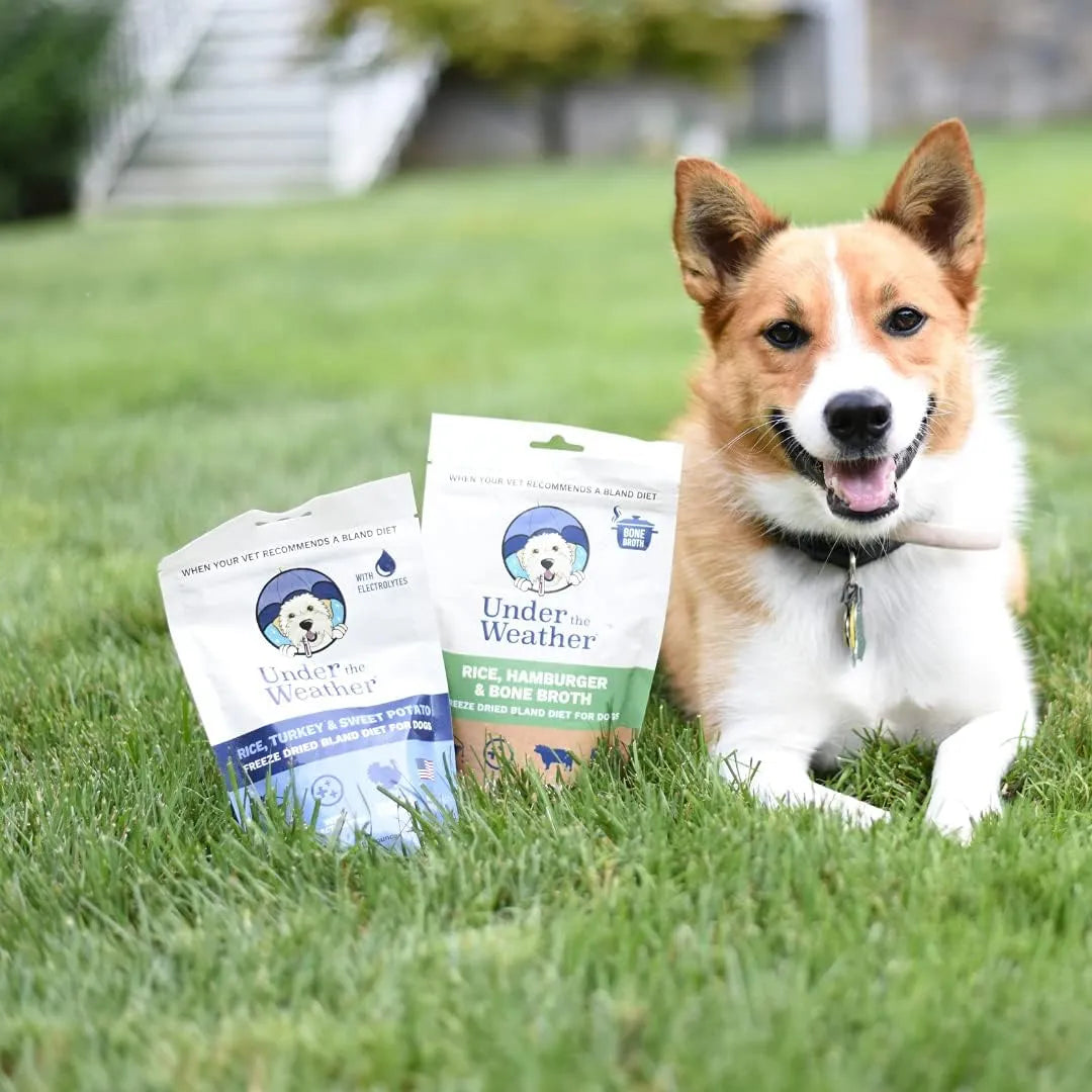 Alimento Para Perros Enfermos Bland Diet Con Electrolitos Liofilizado Pack De 6