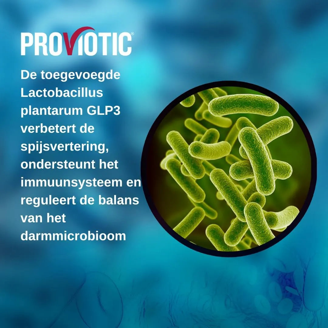 Lactobacillus Probiótico Vegano Salud Digestiva E Inmunidad 30 Cápsulas