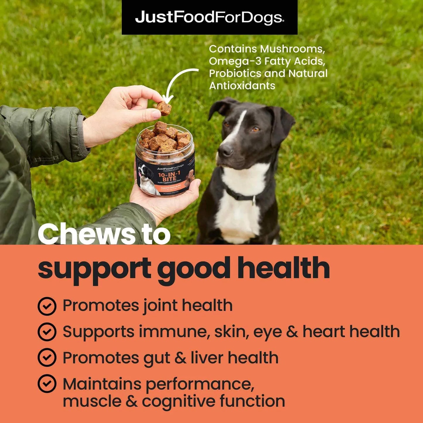 Masticable Multifuncional 10 En 1 Superalimentos Para Perros Salud Articular Piel Y Más