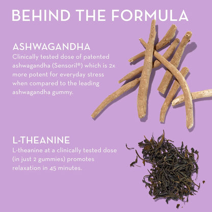 Gomitas De Ashwagandha Y LTeanina Para Relajación Y Enfoque 60 Unidades Sabor Bayas