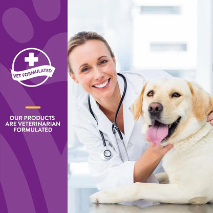 Tabletas Para Mejorar Aliento Perros Adultos NaturVet Vita Pet Plus Liberacion Prolongada 365 Ct