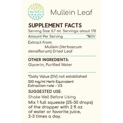 Tintura Mullein Leaf Extracto De Gordolobo Superconcentrado Sin Alcohol 4 Fl Oz