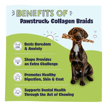 Trenzas De Colágeno Masticables Para Perros Golosinas Dentales Y Articulares