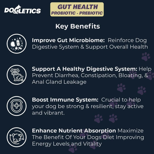 Probiótico Prebiótico Salud Intestinal 90 Unidades Apoyo Mic Perros